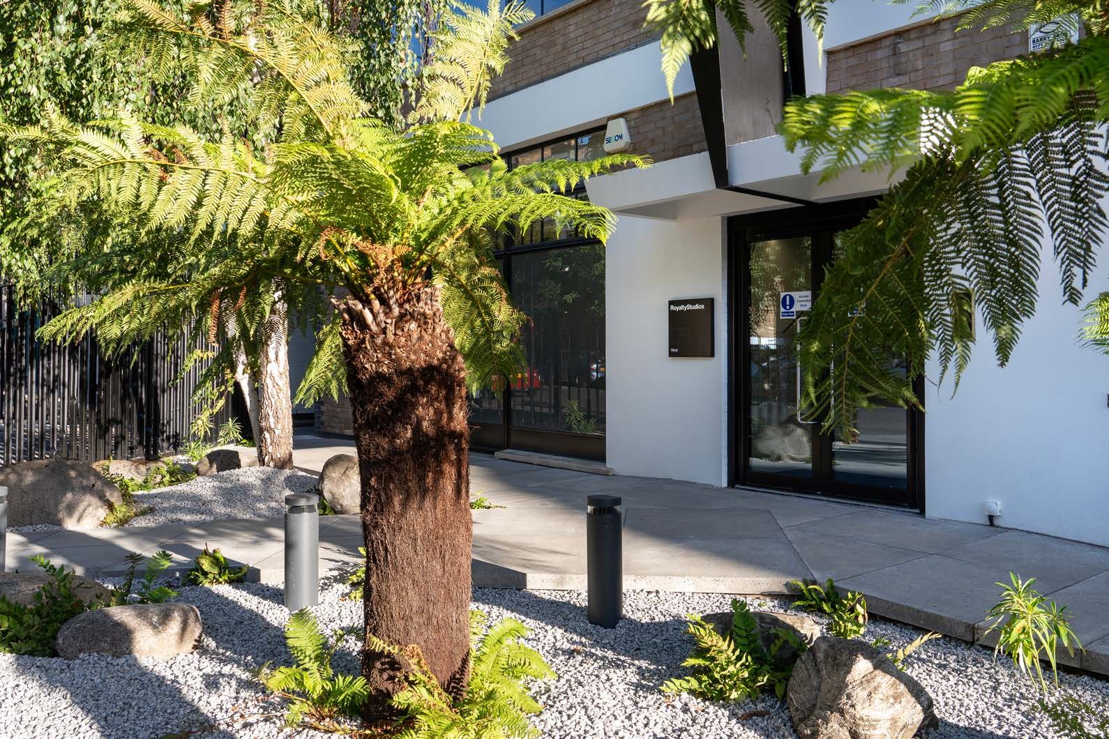 Landscaped entrance with tree ferns